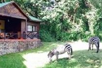 Mount Meru Game Lodge Arusha Luaran gambar